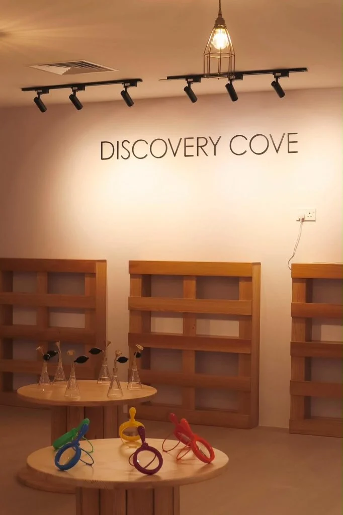 Mulberry Learning @ Lentor childcare centre renovation by VR Builders – photo 13
